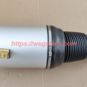 3D0616039/40 3D5616039/40 3W8616039/40 Hot Selling Nice Quality Front Air Spring for Phaeton Continental Flying Spur FR LH & RH 2002--2017