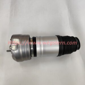97034305115 97034305108 97034305109 97034315101 Hot Selling Front Air Spring for Paramera 970 FR LH & RH 2013--2017