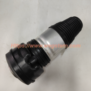 4K0616039H 4K0616040H Hot Selling Nice Quality Air Spring Front LH & RH 2018--